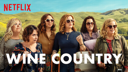 Image result for wine country netflix