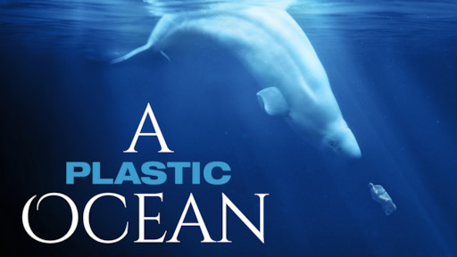 Risultati immagini per plastic ocean