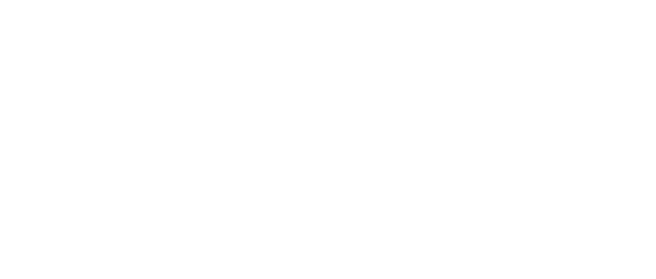 WHAT WILL ANOTHER US BE ABOUT