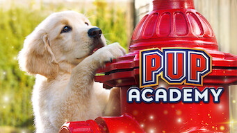 Is Pup Academy Season 2 On Netflix Usa